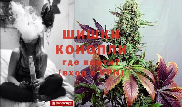 spice Бугульма