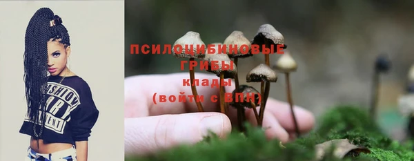 spice Бугульма