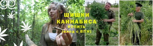 кокаин перу Бородино