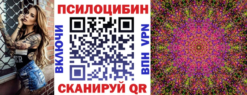 Купить закладки  Никольск  Галлюциногенные грибы Cubensis 